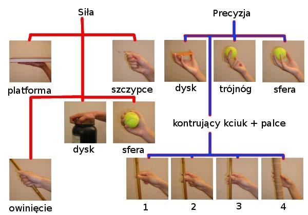 2.2. RODZAJE CHWYTÓW 9 Rysunek 2.2: Przykładowa klasyfikacja chwytów (a) (b) Rysunek 2.