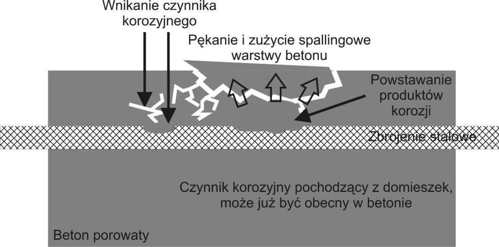 Open Access Library Volume 5 2011 Zu ycie przez łuszczenie wyst puje głównie przy tarciu tocznym metali twardych o wysokiej granicy plastyczno ci.