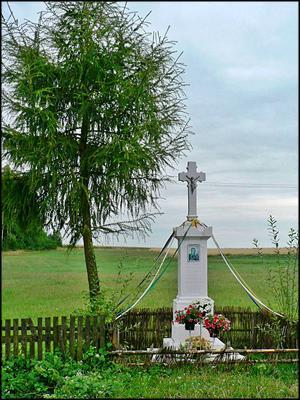 Szkucin
