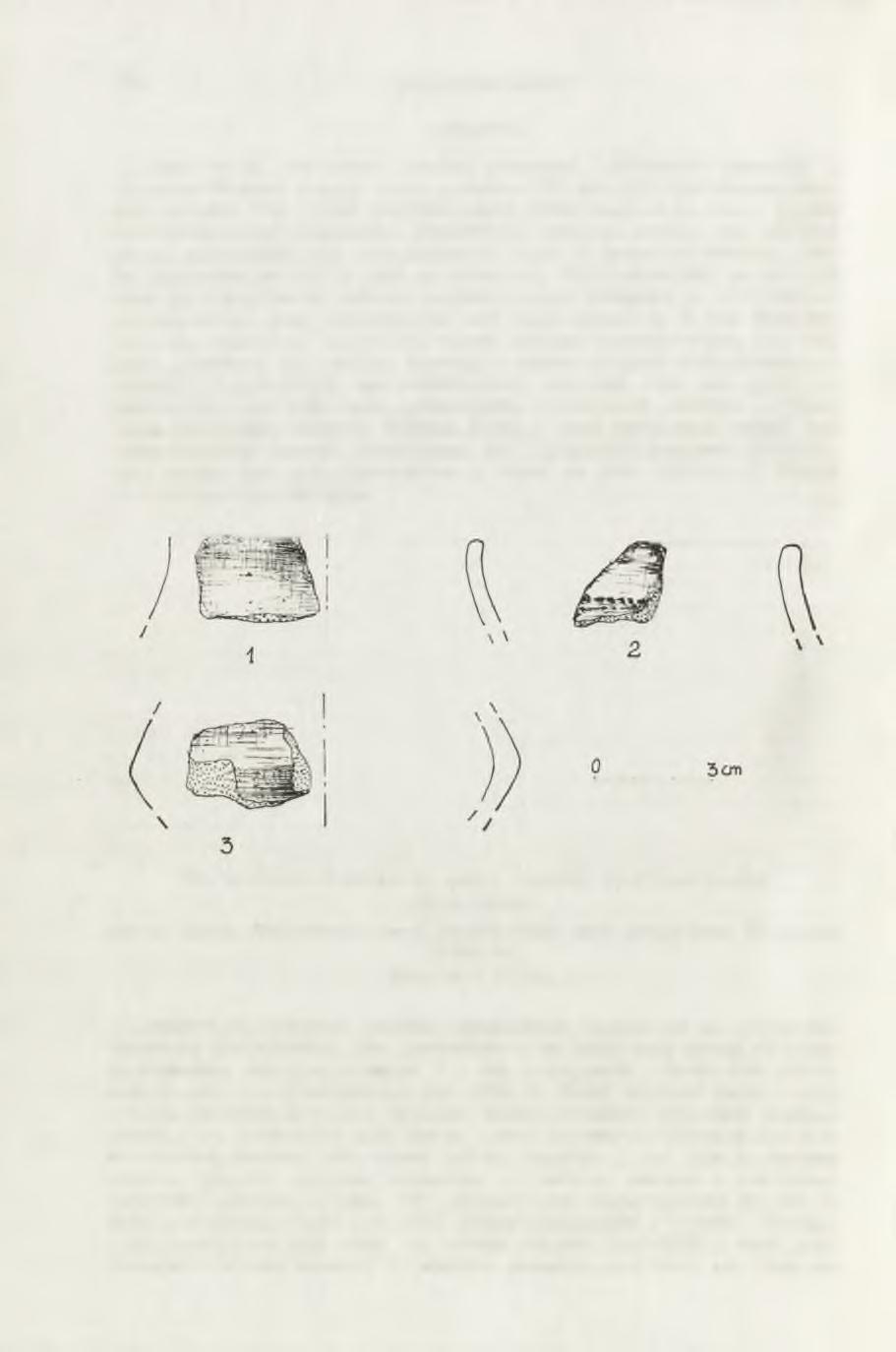 104 A N D R ZEJ BRONICKI CERAM IKA Ułamki silnie rozdrobnionej ceramiki pochodzące z powierzchni stanowiska są wytworami ludności różnych kultur pradziejowych.