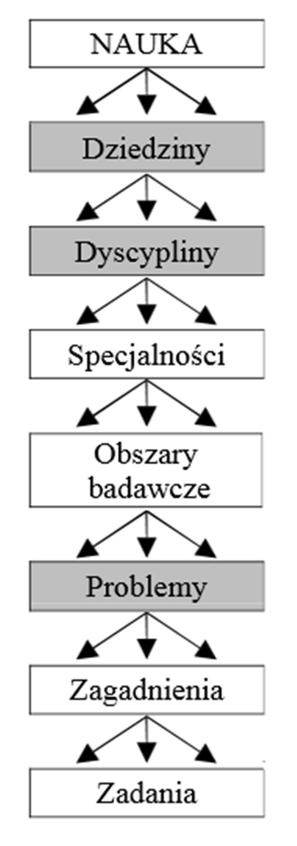 Rudolf Michałek, Maciej Kuboń Rysunek 1. System hierarchiczny nauk 248 Do niedawna brak było definicji dziedziny jako części struktury nauki.