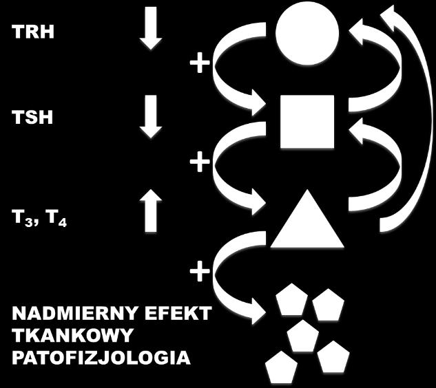 Patofizjologia gruczołu tarczowego Anna Kalin WOLE Powiększenie gruczołu tarczowego. Jest zawsze związane z nieprawidłową biosyntezą hormonów tarczycy.