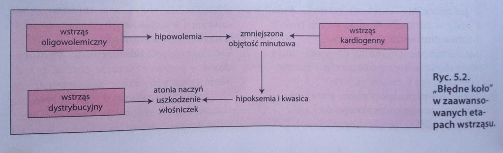 ZMIANY NARZĄDOWE WE WSTRZĄSIE: NERKI: niedokrwienie nerek ->zmniejszenie przesączania kłębuszkowego i diurezy przedłużające się niedotlenienie uszkadza komórki cewki bliższej ->niewydolność nerek