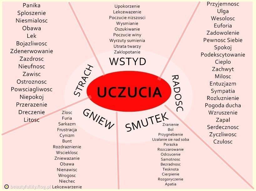 To tyle zachęty do czytania tekstów św. Tomasza i jego komentatorów. Na dobry początek można przeczytać Tomasz na nowo odczytany świetnego polskiego filozofa S. Swieżawskiego.