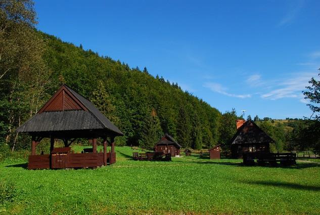 Ze względu na trudne warunki klimatyczne zimne doliny, duża wilgotność, krótkie nasłonecznienie drewno zostało opanowane przez grzyby.