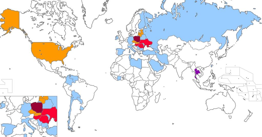 Struktura geograficzna MERCATORMEDICAL Polska MERCATORMEDICAL Tajlandia Kraje do