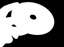 Z moich doświadczeń wynika, że nawet 8-bitowy mikrokontroler bez jakiejś olbrzymiej pamięci programu może bez problemu obsłużyć monochromatyczny, a po spełnieniu pewnych warunków, kolorowy