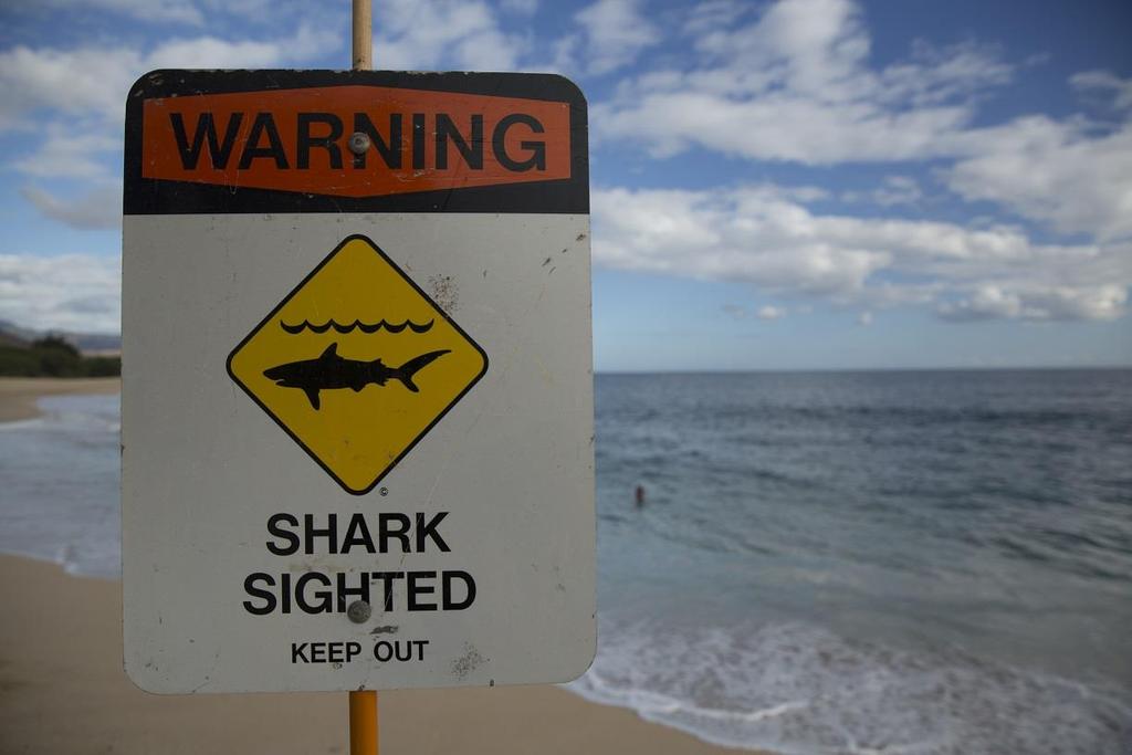 ATAK REKINA When Sharks Attack 4 Emisja od poniedziałku 16 lipca do środy 18 lipca o godz.