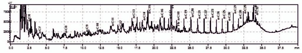 Uzyskane dane (rysunek 17) pokazują bardzo regularne tempo dekompozycji kerogenu do frakcji C 1 C 9, z mniejszym udziałem węglowodorów ropnych (C 9 C 15 ) niż w przypadku łupków dolnopaleozoicznych.