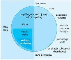 64 T. Walendziak nien wdrożyć lekarz pierwszego kontaktu po zbadaniu dziecka.