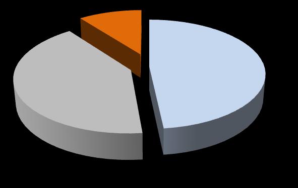 POLSKI 10% HISTORIA I SPOŁECZEŃSTWO 59% 36%