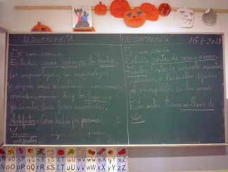 Nauczyciel przyniósł materiały ukazujące interesujące nas różnice i rozpoczęliśmy wstępną klasyfikację.