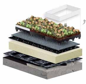 systemy dachowe Sopranature SYSTEM TUNDRA PACK modułowy dach ekstensywny Prezentowane rozwiązanie to innowacyjny modułowy dach zielony z gotową ekstensywną formą zazielenienia.