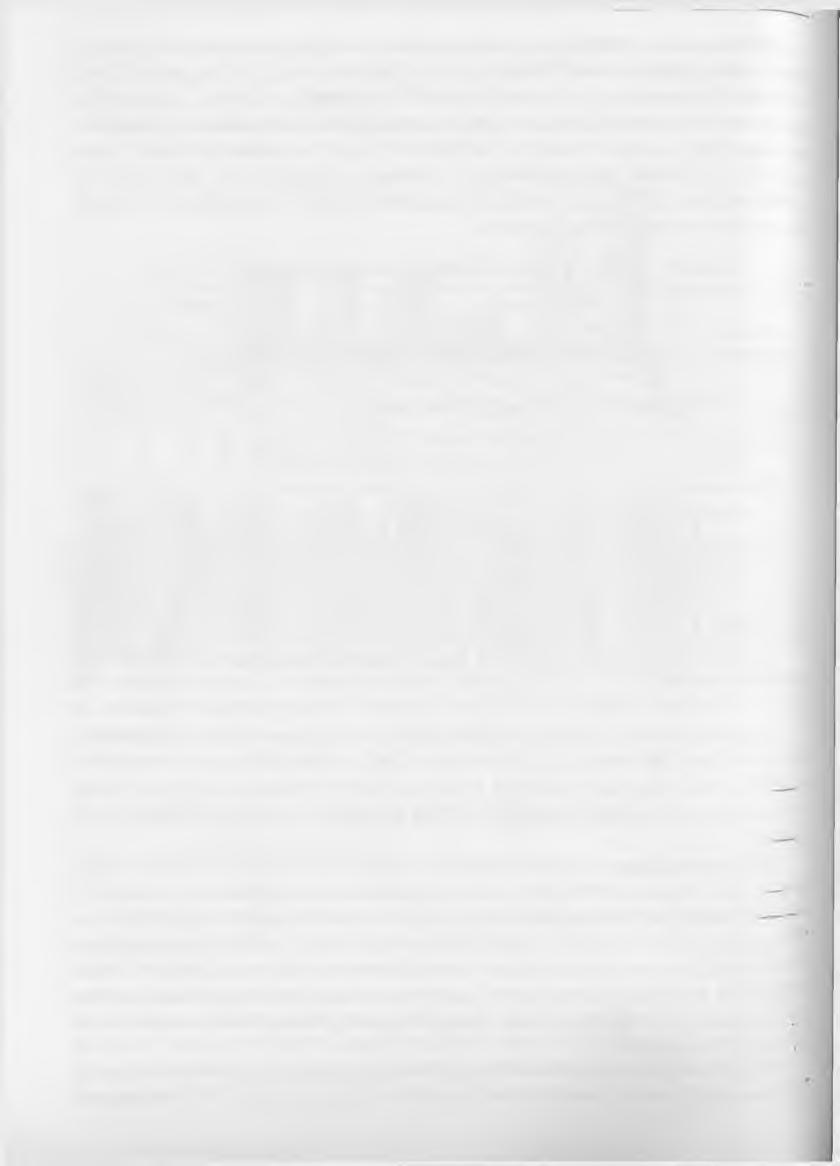 1986] w skazyw ały n a w ażną rolę rodziny w m otyw ach m igracyjnych. P Szukałski [2002, s.