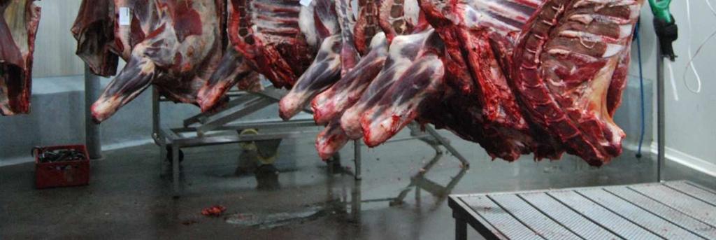 W praktyce przemysłowej, zamrożone mięso wołowe może być przechowywane w temperaturze poniżej -22 o C do 18 miesięcy, natomiast