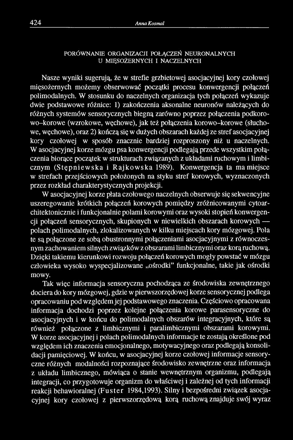 W stosunku do naczelnych organizacja tych połączeń wykazuje dwie podstawowe różnice: 1) zakończenia aksonalne neuronów należących do różnych systemów sensorycznych biegną zarówno poprzez połączenia