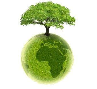 Płaszczyzna ekologiczna n zagrożenia ekologiczne wymagają współpracy globalnej ze
