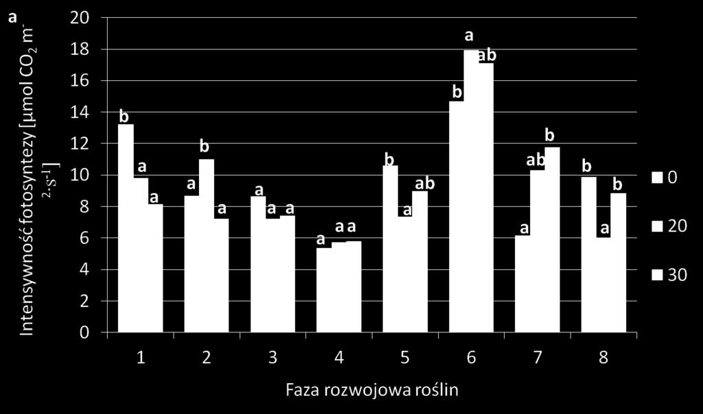 intensywność fotosyntezy