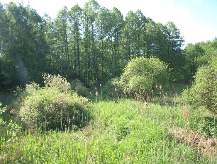 południowo-wschodniej