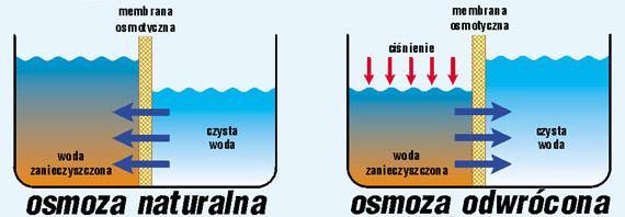 RÓŻNICA MIĘDZY NATURALNĄ A ODWRÓCONĄ OSMOZĄ OSMOZA NATURALNA Bardzo często występuje w naturze; Zachodzi od roztworu o niższym stężeniu substancji rozpuszczonej; Trwa do wyrównania stężeń obu