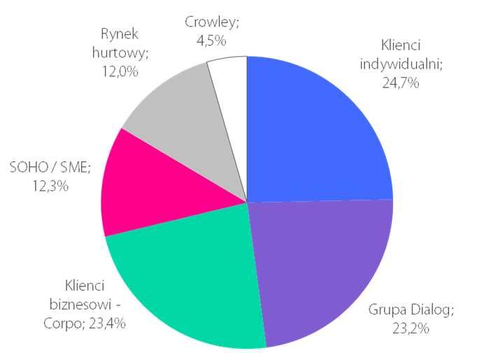 Dane finansowe Siła segmentu biznesowego bilansuje obecną presję w segmencie klientów