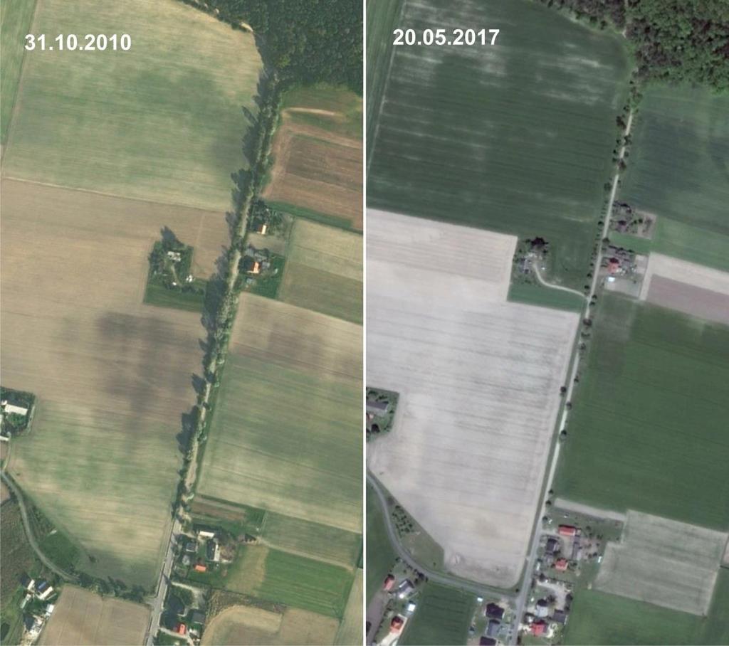 Źródło: GoogleEarth Zagrożenia c.d. usuwanie drzew z krajobrazu rolniczego, w tym z alei i