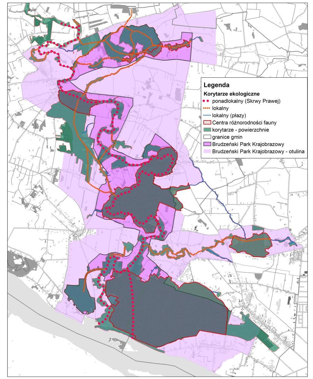 Centra różnorodności fauny i korytarze ekologiczne Korytarze ekologiczne 1 korytarz o znaczeniu ponadlokalnym - dolina Skrwy Prawej, stanowiąca oś BPK jak również przebiegających przez Park korytarzy