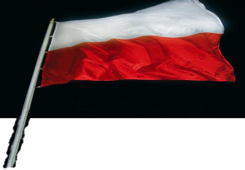 Cedyni do Orszy