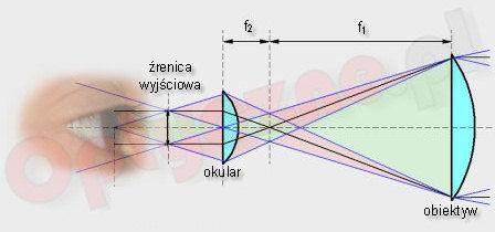 Lornetki podstawowe parametry Źrenica wyjściowa Otrzymujemy ją dzieląc średnicę