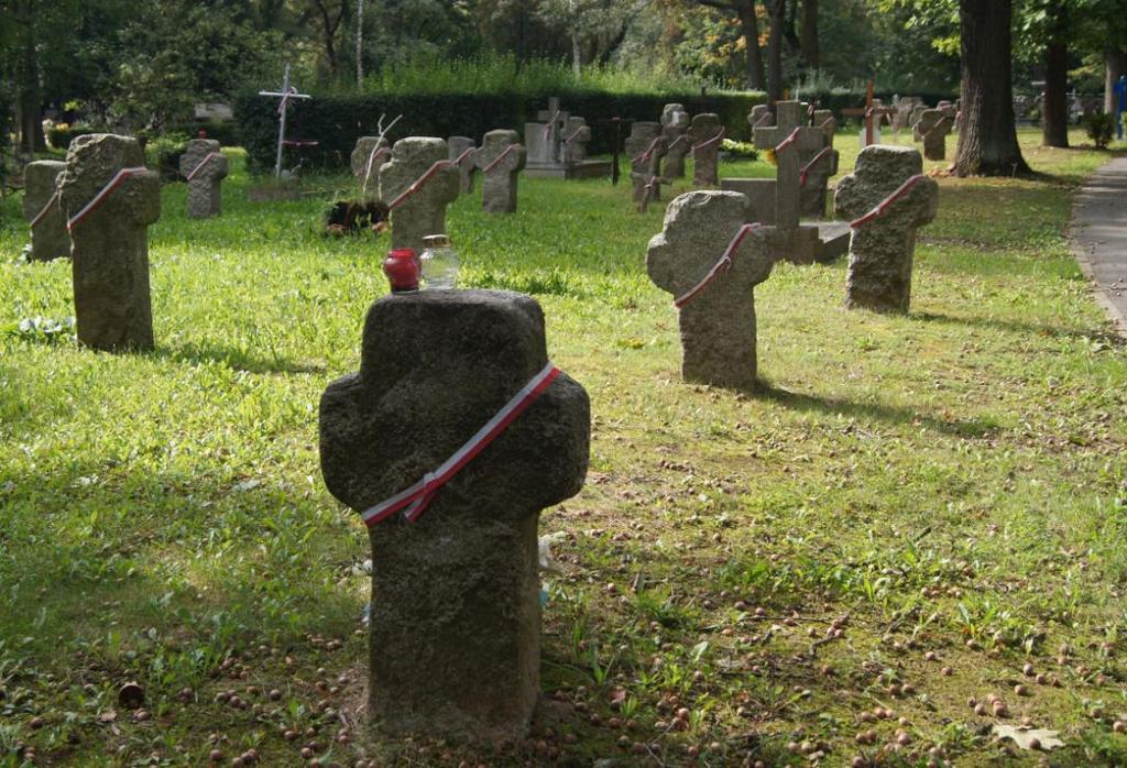 krzyżami szczytowymi wieńczącymi czasem średniowieczne kościoły. W tym wypadku jego wyniesienie stwarza ogólne wrażenie wzniosłości pasujące do tak zacnego jubileuszu.