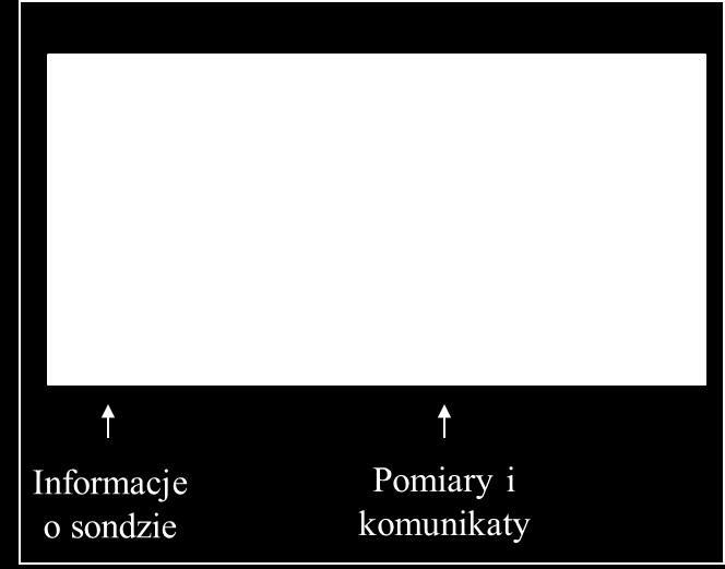 Pomiary i komunikaty w tej części wyświetlane są: o Wyniki pomiarów z sondy - ilość pomiarów oraz rodzaj zależą od typu podłączonej sondy (najlepiej sprawdzić w instrukcji obsługi danej sondy).