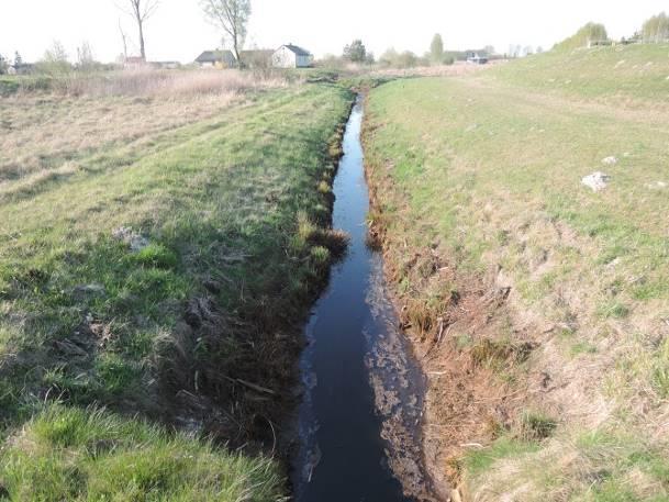 Dobromyśla) Otoczenie zbiornika łąki, droga, lasy (a) (b) Fotografia 36 a,b Stanowisko nr 35. Stanowisko nr 36 Tabela 58. Charakterystyka stanowiska nr 36. Współrzędne geograficzne 51 13' 47.