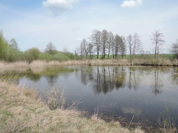 (nazwa rzeki) 1,20 km (Grabarka) Otoczenie zbiornika łąki, lasy, droga, zabudowania (a) (b) Fotografia 38 a,b Stanowisko nr 37. Stanowisko nr 38 Tabela 60. Charakterystyka stanowiska nr 38.