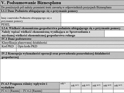 VI. Załącznik nr 1 do Biznesplanu Sprawozdanie z