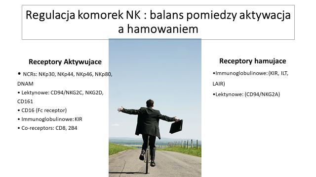 Bartosz Grzywacz, M.D. Streszczenie wykładu "KOMÓRKI NK (NATURAL KILLERS) STRAŻNICY ORGANIZMU PRZECIWKO WIRUSOM I NOWOTWOROM". Komórki NK należą do limfocytów czyli komórek układu odpornościowego.