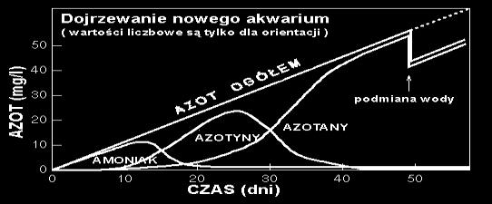 ) Woda RO musi być wzbogacana solami (stabilizacja ph, przewodnictwa i twardości) 39 Woda (1/2) Kontrola poziomu związków azotowych Parametry: temperatura: 26-28.