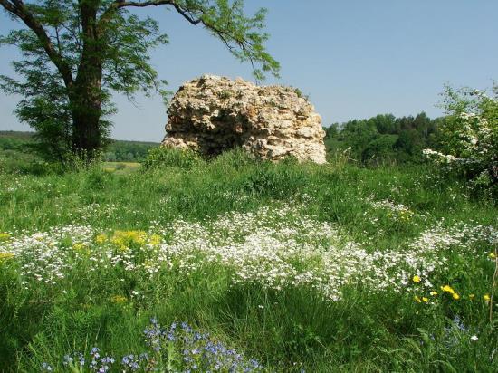 : Szydłowieccy, Tarnowscy, Ostrogscy, Wiśniowieccy, Sanguszkowie, Małachowscy, Krawieccy. Fot. 15. Przedzamcze z wieżą bramną w Ćmielowie Źródło: www.zamki.res.