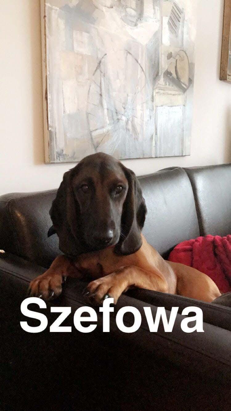 DZIĘKUJĘ