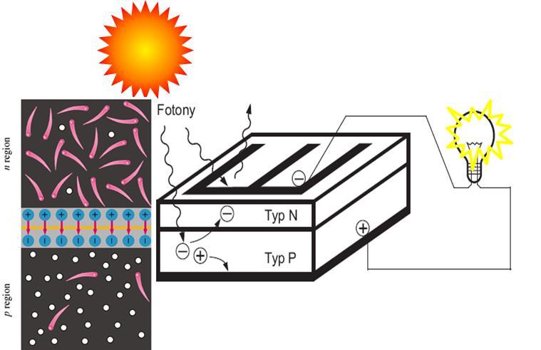 Efekt fotowoltaiczny hν E g Światło jest absorbowane, tworzą się pary elektron-dziura, które są