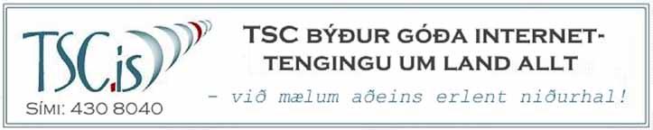 Rauða fjöðrin er barmmerki sem Lionshreyfingin hefur selt á nokkurra ára fresti í rúma fjóra áratugi.