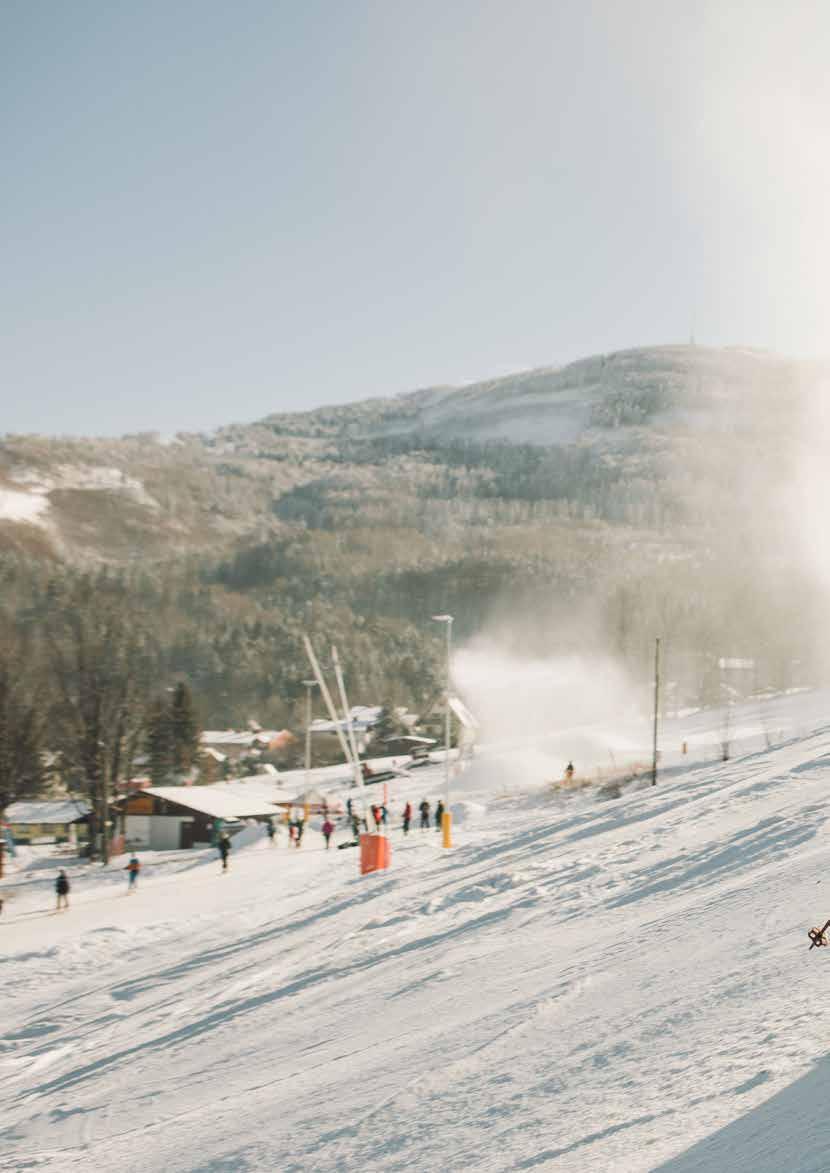 Szanowni Państwo, Program Partnerski LARIX jest programem częściowego sponsoringu firmy LARIX, wyłącznego dystrybutora sprzętu sportowego marek UVEX, ODLO, KILLTEC, REUSCH, MEINDL, CAMELBAK, K2, SEA