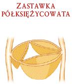 ZASTAWKI SERCA płatki zastawek przylegają ściśle do siebie i szczelnie zamykają drogę wsteczną krwi ZASTAWKA MITRALNA