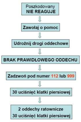 Hyperlink (internal) Algorytm BLS Card 9: Przybycie karetki Info Text Po około 5 minutach wykonywania podstawowych zabiegów resuscytacyjnych na miejsce zdarzenia przybywa zespół