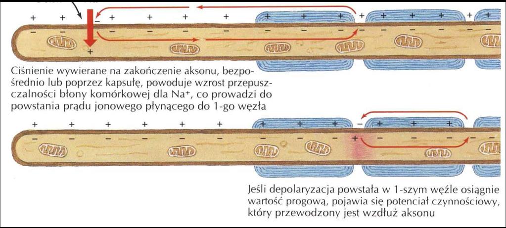 Generowanie