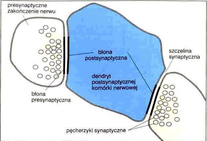 Przekazanie