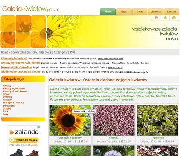 Design Galeria-kwiatow.com Galeria kwiatów to baza zdjęć kwiatów i roślin. Zdjęcia ogrodów, kwiatów doniczkowych, drzew i krzewów. Kwiaty polne i ogrodowe. Rośliny ozdobne. Projekty ogrodów zdjęcia.