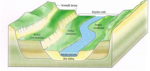 Zadanie 11. (3 p) Najwyższymi falami, powstającymi na oceanach są tsunami. Podaj przyczynę powstawania tych fal oraz dwie charakterystyczne dla nich cechy (poza dużą wysokością). przyczyna cecha 1.