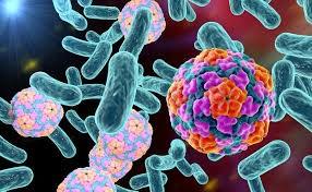 I. OCENA ZAGROŻENIA EPIDEMIOLOGICZNEGO W 2017 r.