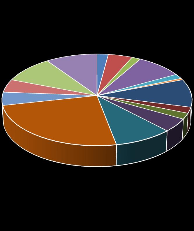 połączenia komunikacyjne wewnątrz Gminy 10% 10% 2% 4% 2% 9% połączenia komunikacyjne z otoczeniem zewnętrznym stan środowiska naturalnego walory turystyczno-krajobrazowe 2% kwalifikacje zawodowe 5%