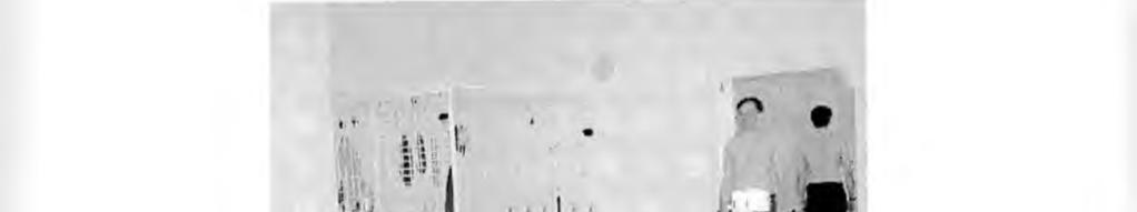 152 Archiwum Fotogrametrii, Kartografii i Teledetekcji, Vol.